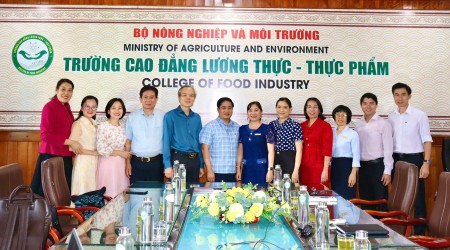 HOẠT ĐỘNG ĐOÀN THỂ